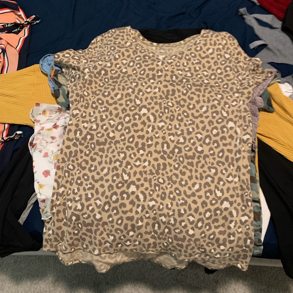 Cheetah